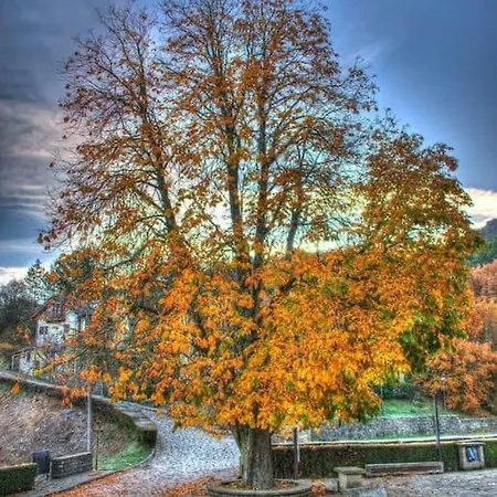 Lejlighed Casa El Parral 2 A 30 Min De Astun Y Candanchu *